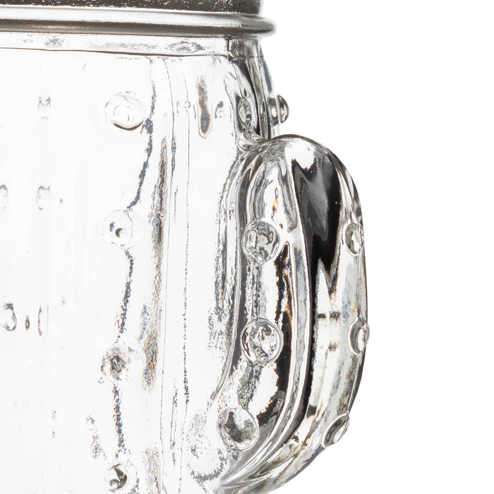 BarConic® Cactus Mason Jar Glass - W/ Lid