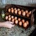 Wooden Egg Holder for 2 Dozen Eggs Dark Walnut Stain With Laser Engraving Local Egg Dealer Handcrafted in the USA with eggs in kitchen and removeable shelf 