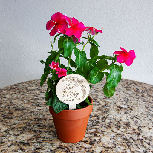 Potted plant with a personalized wooden planter tag