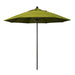 California Umbrella 9' Pole Push Lift SUNBRELLA With Bronze Aluminum Pole - Kiwi Fabric