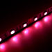 LED Light Strip Ultra-Bright 5050 - 5 Meter Roll - IP65 Splash Resistant - 16.4 ft