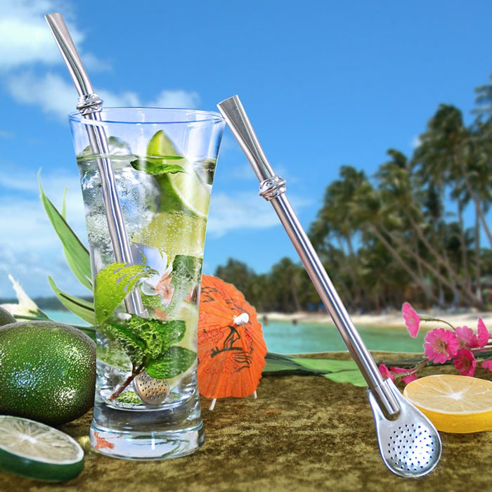  Stainless Steel Cocktail Straw w / Filter 6.5 inches