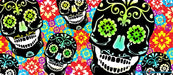 Kolorcoat™ Flair Bottle - Sugar Skulls Design - 750ml 