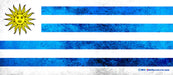 Kolorcoat™ Flair Bottle - Uruguay Flag Design - 750ml